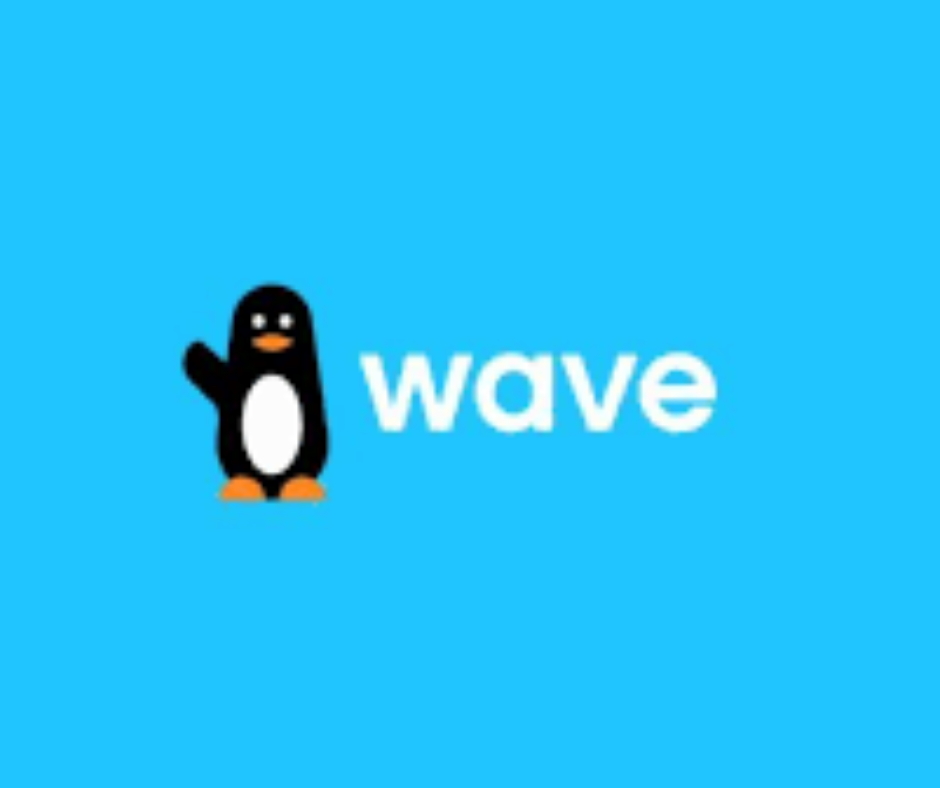 Wave : le géant qui casse les prix